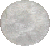 spider white bottle cap