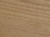 Ash Sample Image