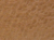 Lacewood Sample Image